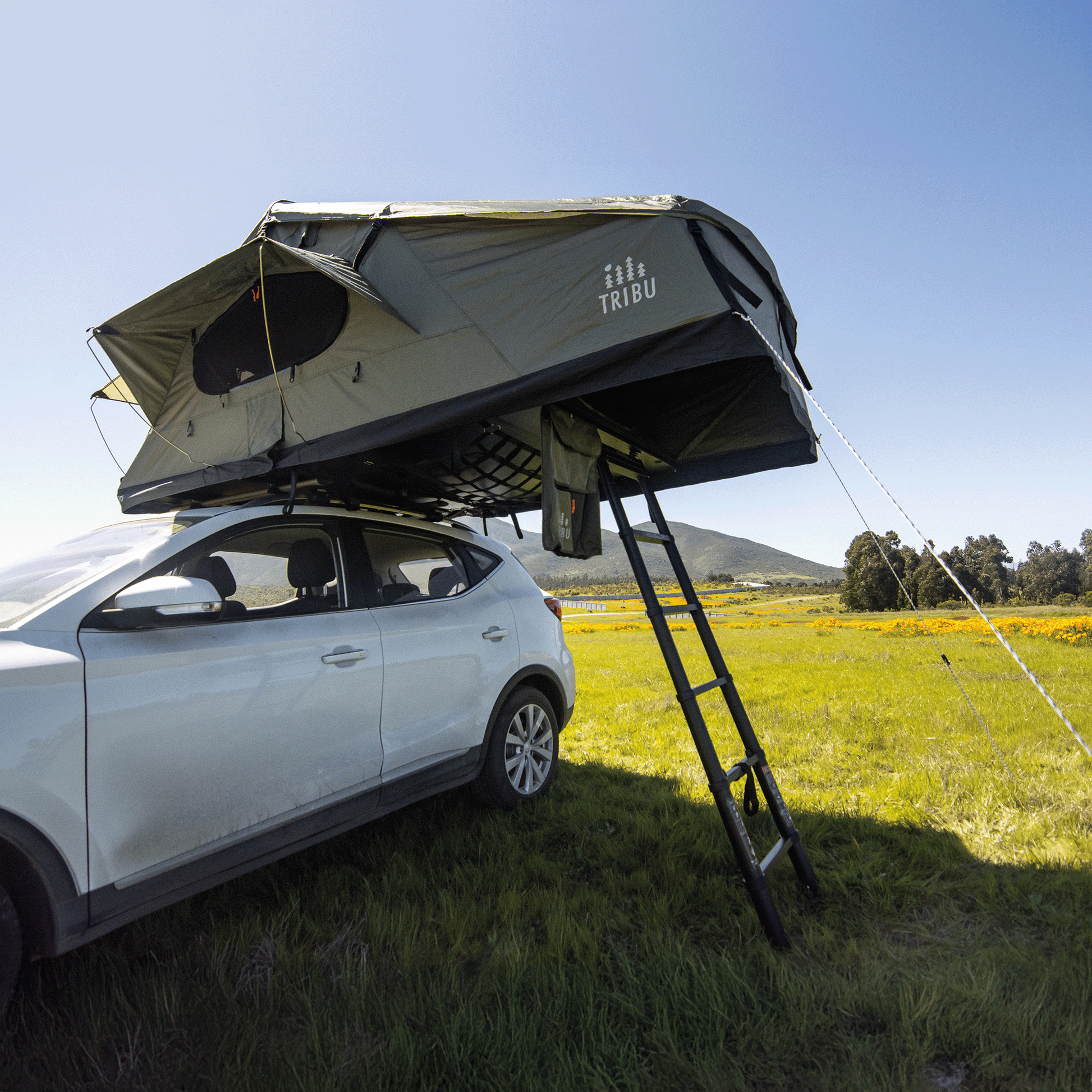 carpa de techo tribu expedición - RunaX