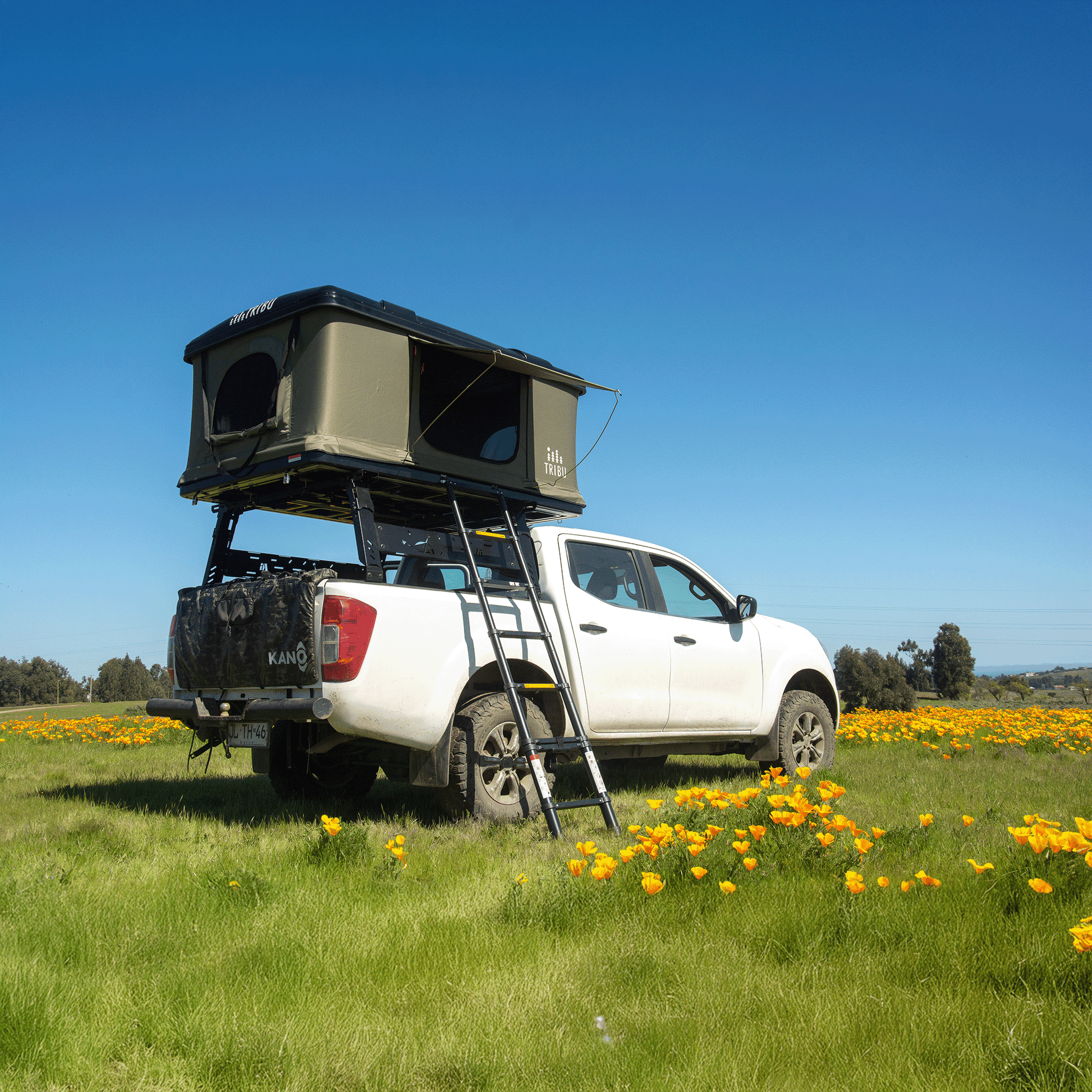 carpa de techo tribu nomade - RunaX