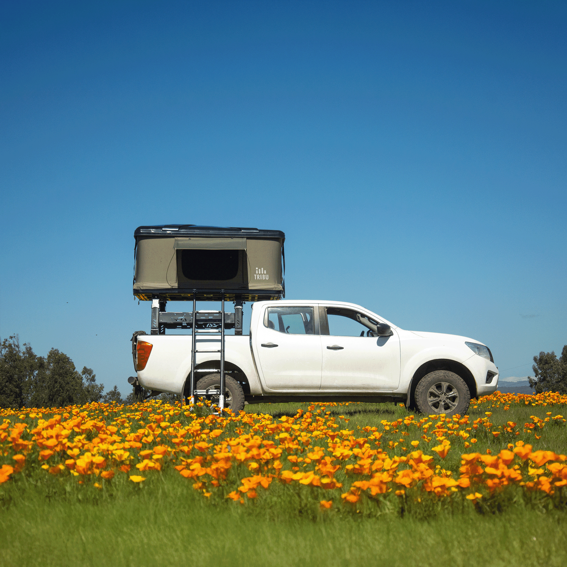 carpa de techo tribu nomade - RunaX