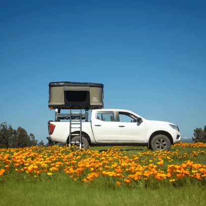 carpa de techo tribu nomade - RunaX