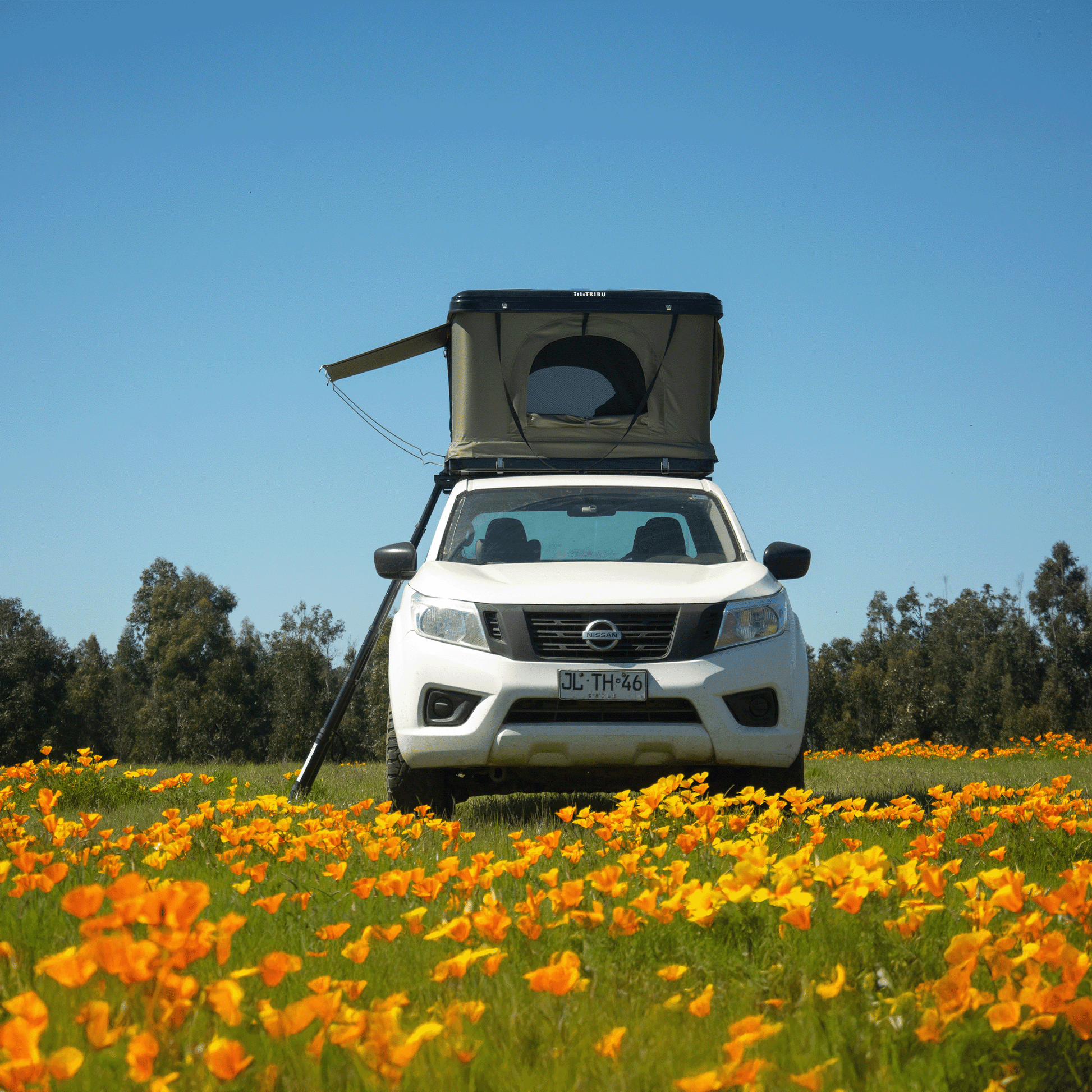 carpa de techo tribu nomade - RunaX