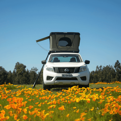 carpa de techo tribu nomade - RunaX