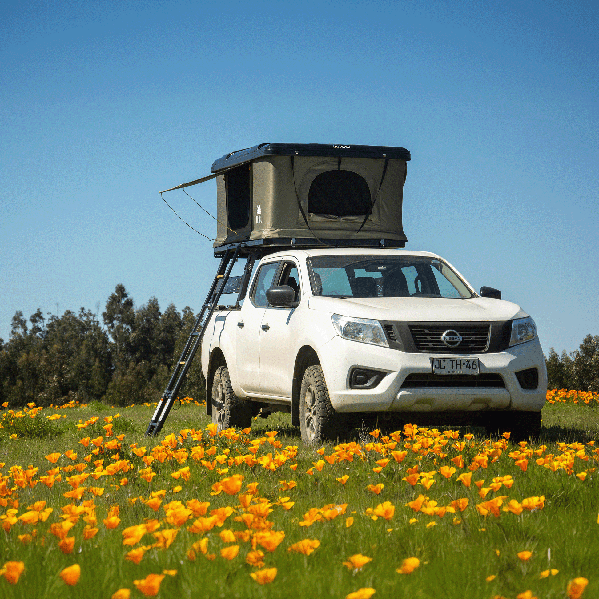 carpa de techo tribu nomade - RunaX