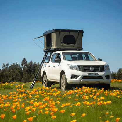 carpa de techo tribu nomade - RunaX