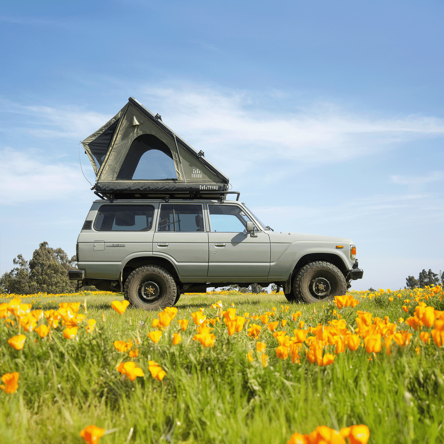carpa de techo tribu nomade at - RunaX