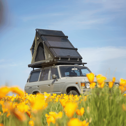 carpa de techo tribu nomade at - RunaX