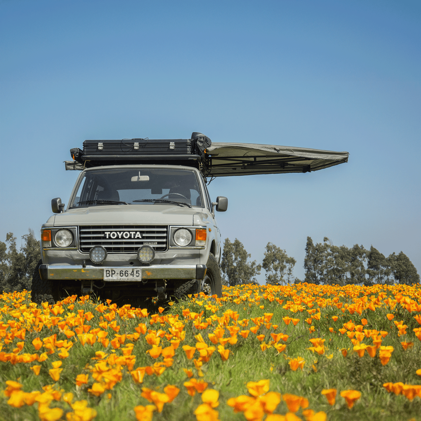 toldo tribu 270 - RunaX