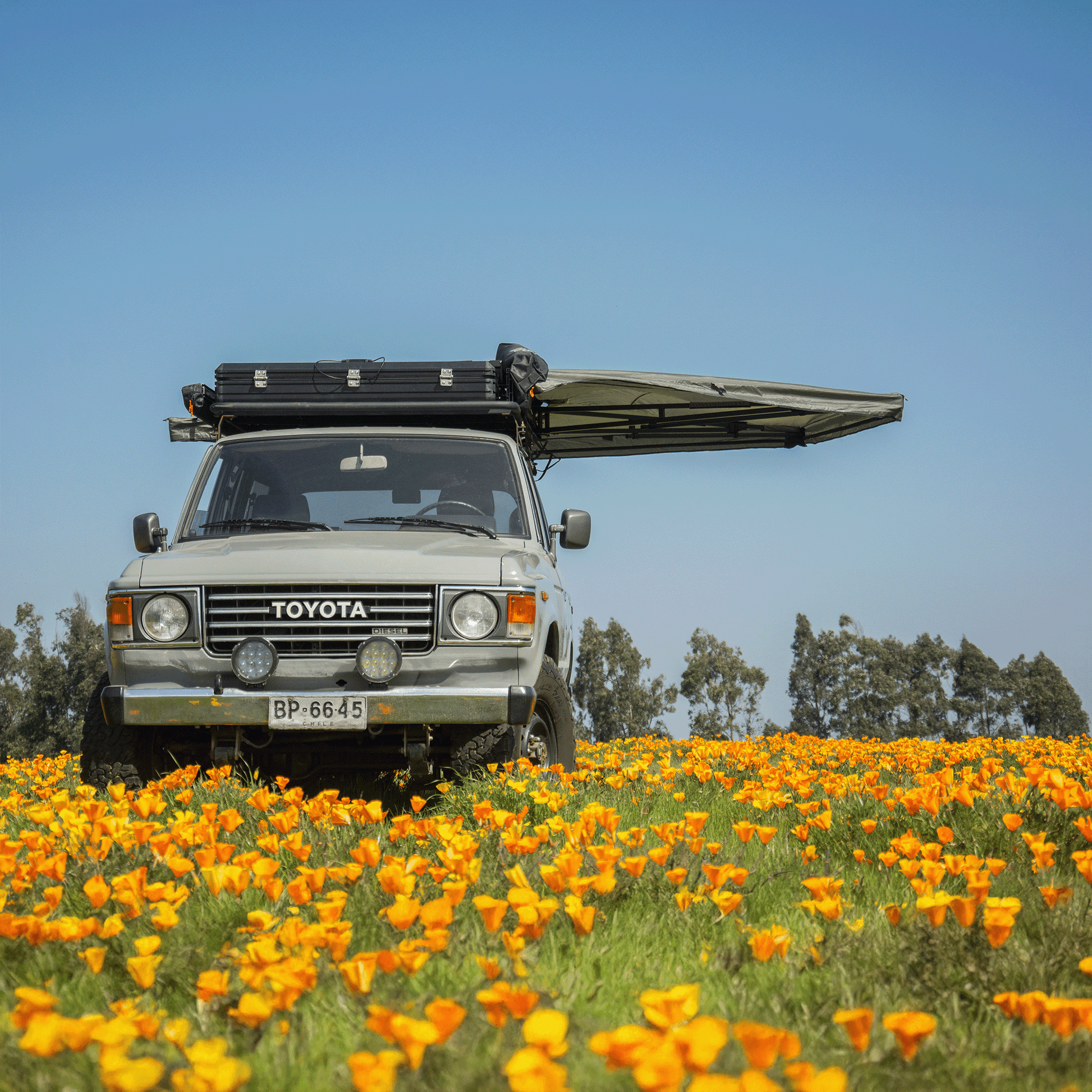 toldo tribu 270 - RunaX