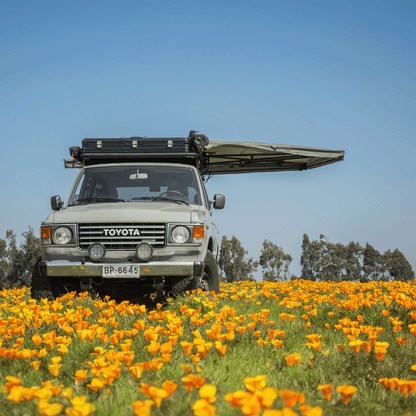 toldo tribu 270 - RunaX