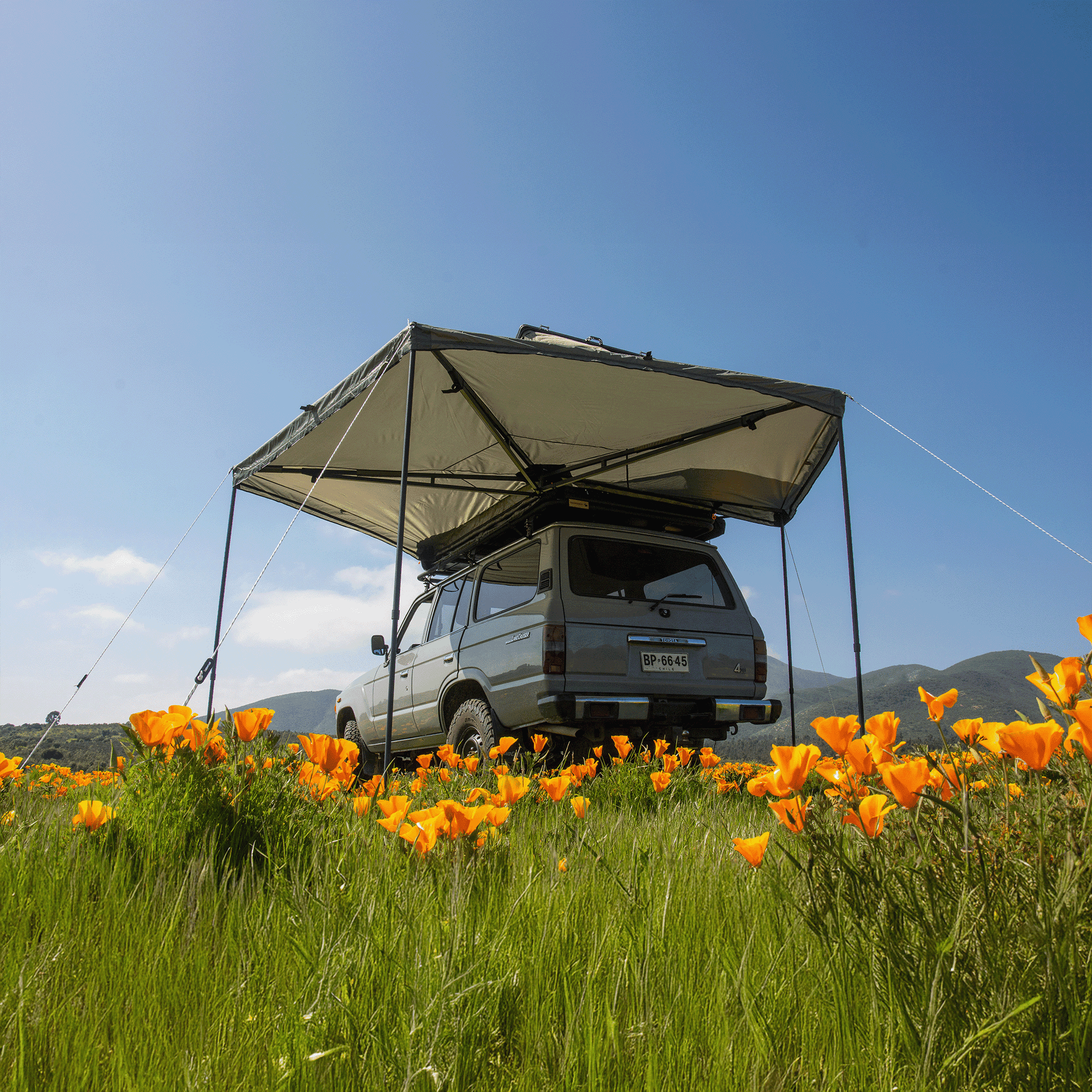 toldo tribu 270 - RunaX