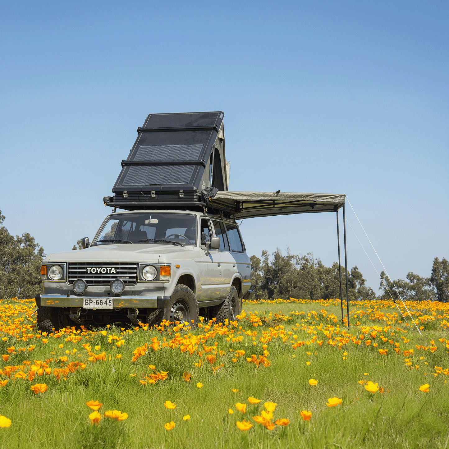 toldo tribu 270 - RunaX