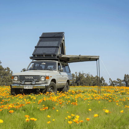 toldo tribu 270 - RunaX