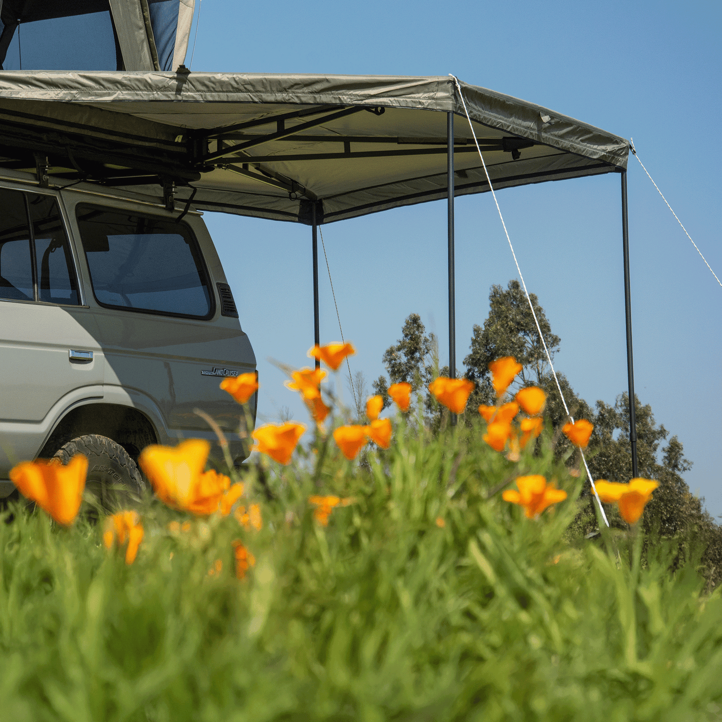 toldo tribu 270 - RunaX