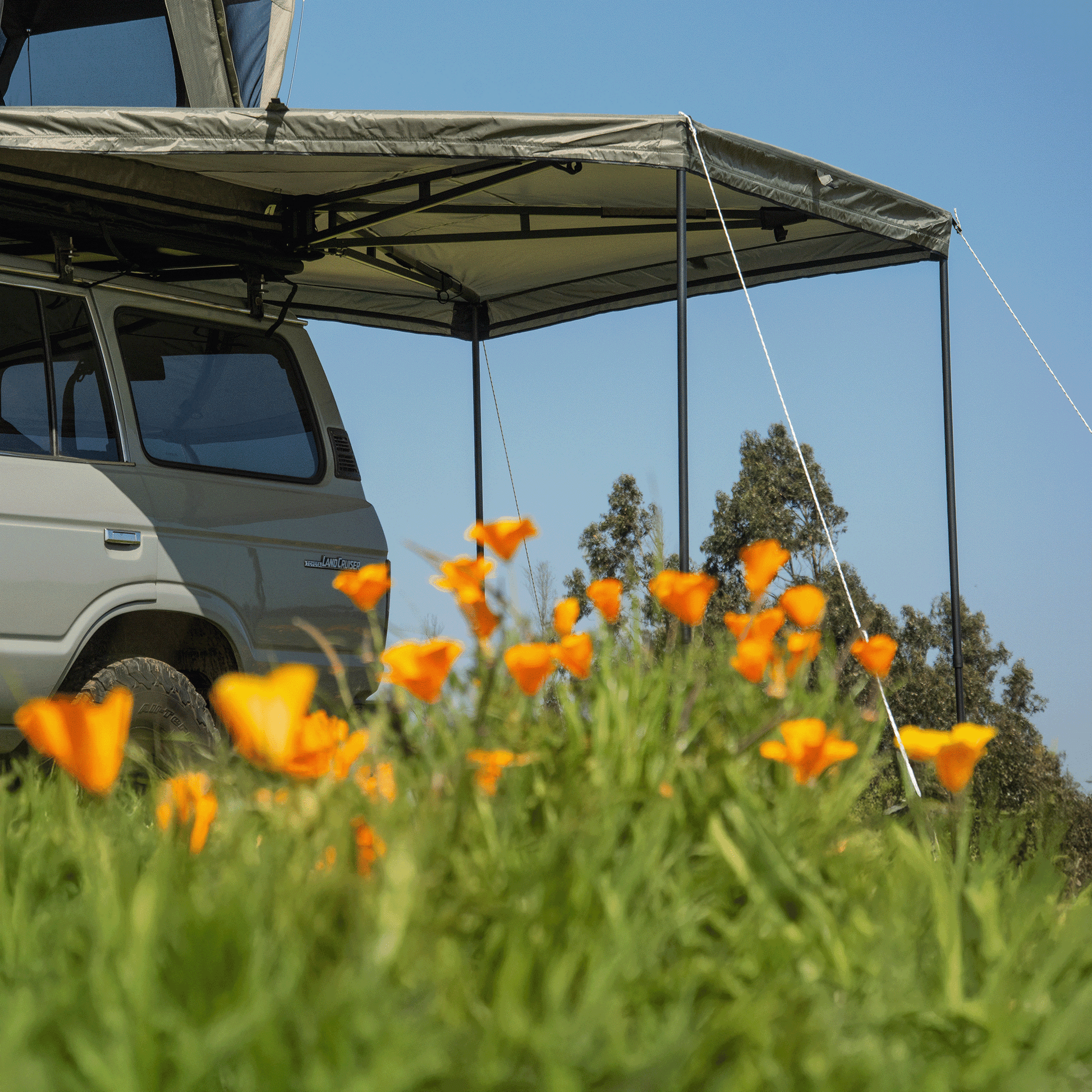 toldo tribu 270 - RunaX