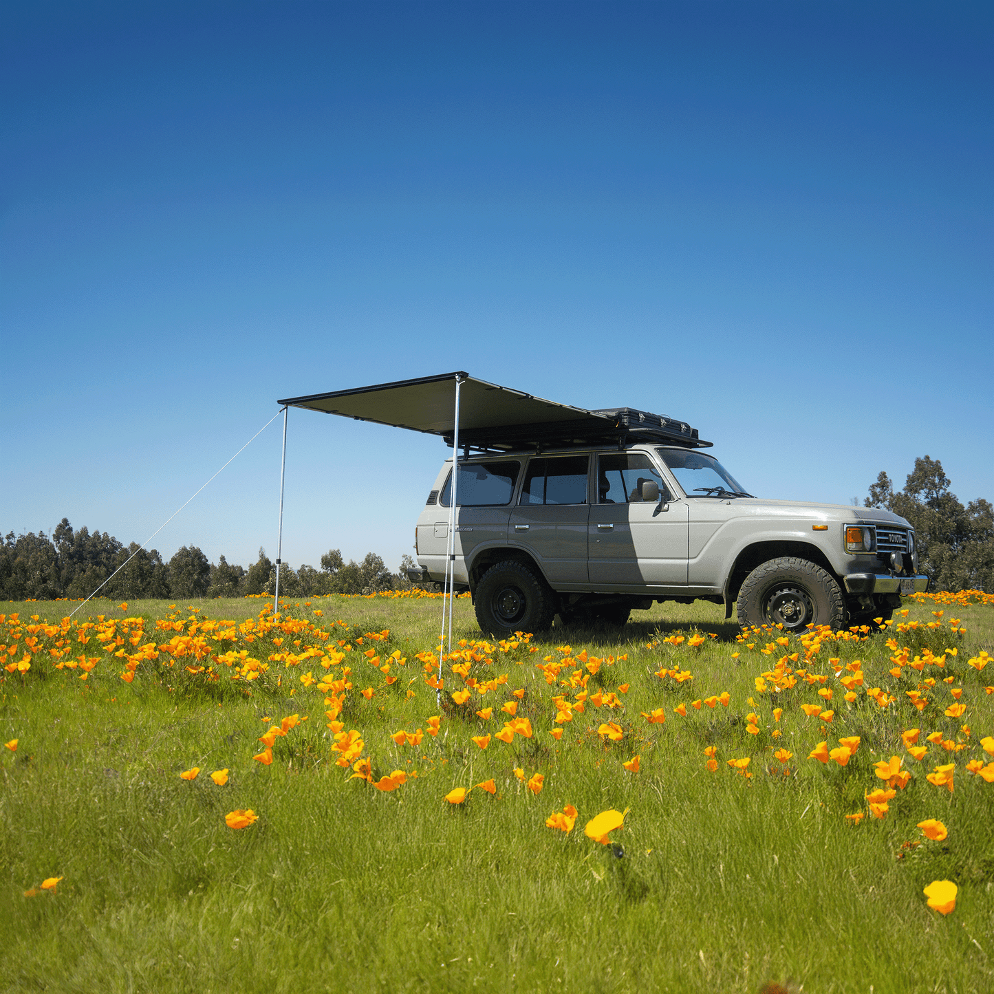 toldo lateral tribu - RunaX