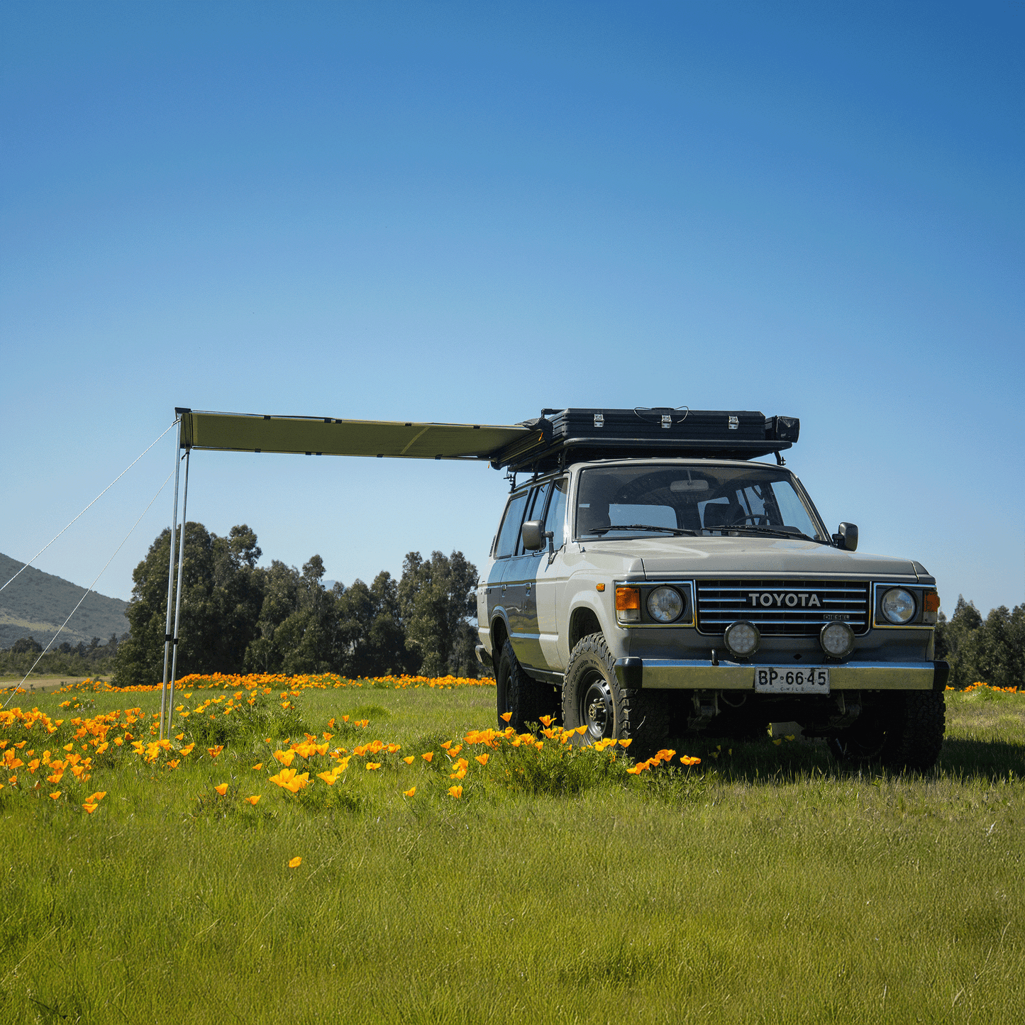 toldo lateral tribu - RunaX