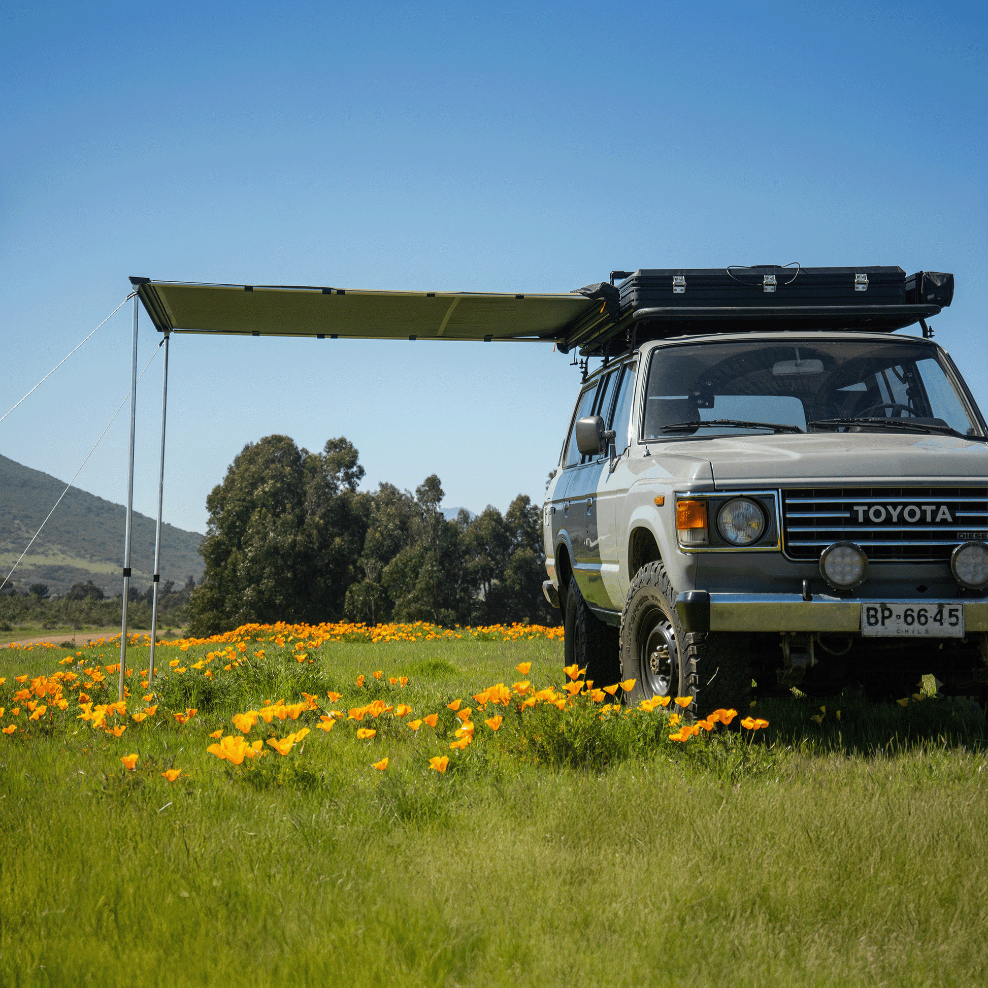 toldo lateral tribu - RunaX
