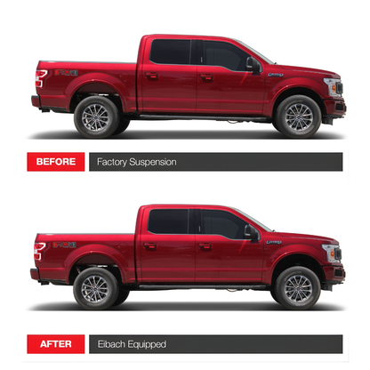 kit amortiguadores eibach f150 15 20